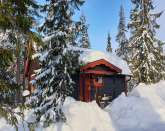 RENOVATED COSY COTTAGE AT HEMFJLLSTANGEN, SLEN!