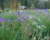 Nice house for two in the quiet and wild forrest-Hlsingland