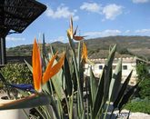 Peace and quiet in charming Portuguese countryside.