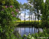 Hjortsbytorp Bed & Breakfast