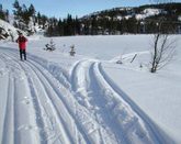 Fiskebekk Hytteutleige og Hyttegrend (salgstomter)