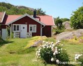 Apartments, Cabins and Summer houses