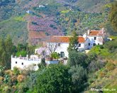 Finca Lo Martin....http://www.vineridgeretreats.com/finca-lo-martin/